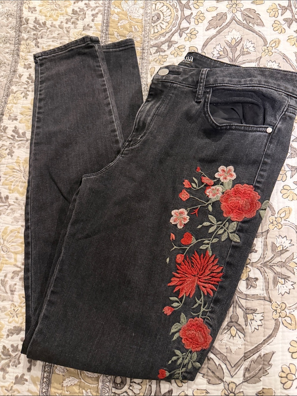 ANA Women's Black Embroidered Floral Jeggings - Red Floral Detail 12T